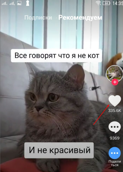 Как зарабатывать в TikTok