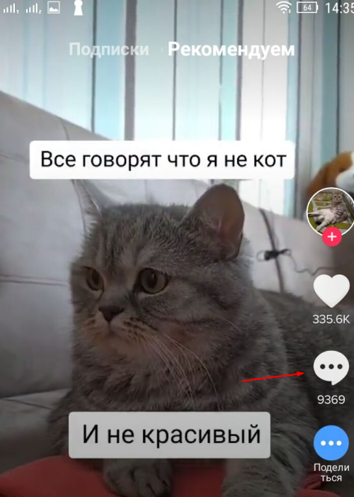 Как зарабатывать в TikTok