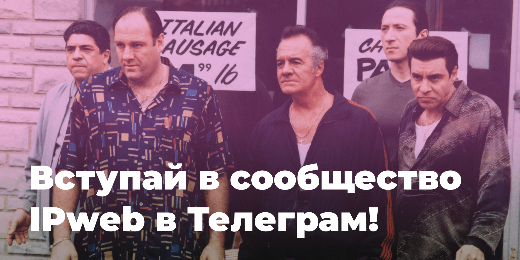 Вступай в сообщество IPweb в Телеграм!